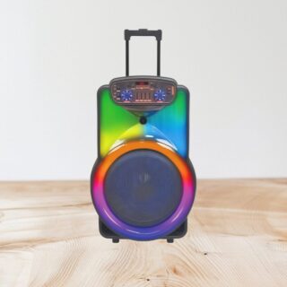 WoodSound Trolly Speaker 15"